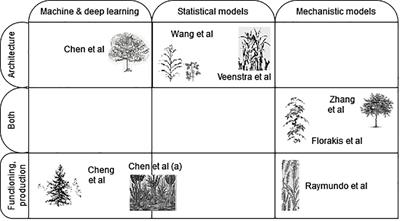 Editorial: Plant architectural models and crop production